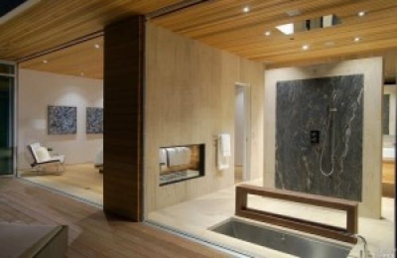 See-Through Gas Fireplaces preview 24